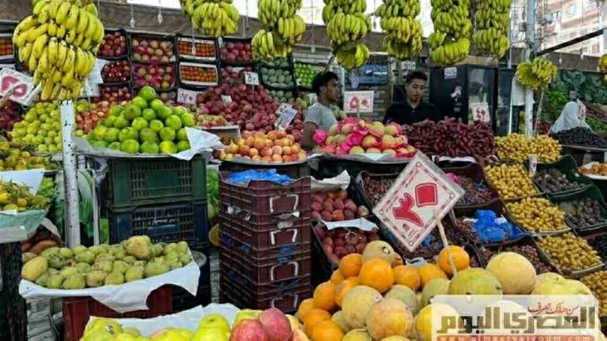 حصري لـ 'سعودي 365': فيفو X300 ألترا يكسر الحواجز بعدسة 17x البصرية.. ثورة في تصوير الهواتف الذكية