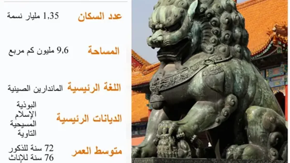 كارثة الحدود الصينية: الكشف عن تفاصيل جديدة بعد صمت بكين