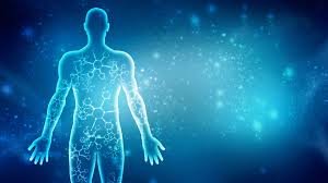 هيئة حقوق الإنسان بالتعاون الإسلامي تتضامن مع الدول المتضررة من الاعتداءات الإيرانية وتدعو لوقفها