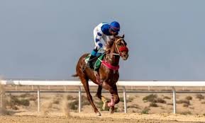 كاديلاك إسكاليد V ضد IQ: مواجهة الأداء على الحلبة تكشف عن مفاجآت مثيرة