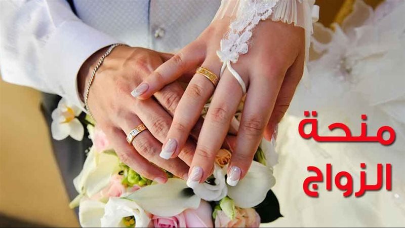 حصري لـ 'سعودي 365': هل تزوج توم هولاند وزندايا سراً؟ تفاصيل مثيرة تكشف الكواليس